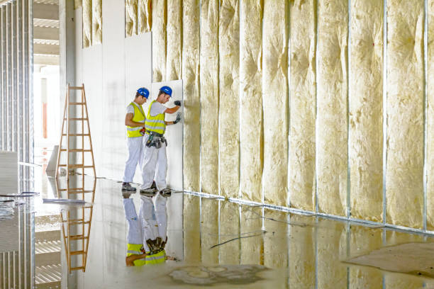 Best Insulation Installation Services in Brice Prairie, WI